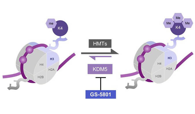 GS-5801是一种有效的KDM5抑制剂，具有抗HBV活性，GS-5801通过人生就是博合成