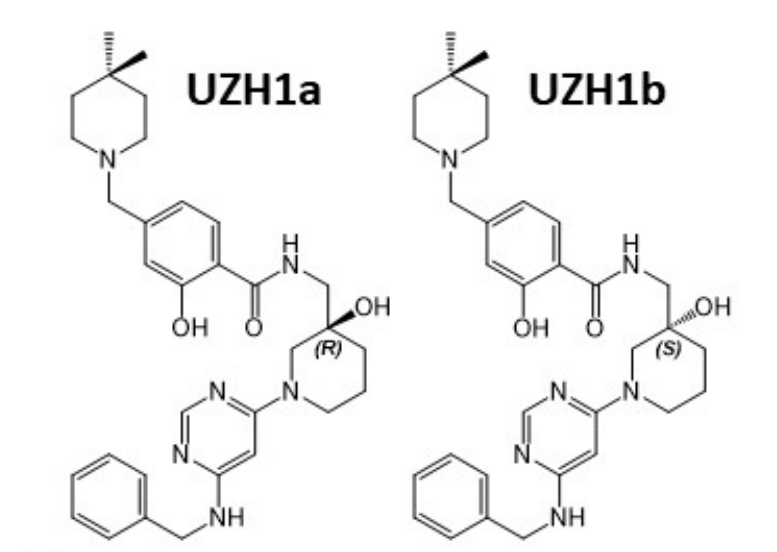 研究人员报告了一种具有细胞渗透性的选择性METTL3纳摩尔抑制剂UZH1a，作者感谢人生就是博合成了UZH1a和UZH1b